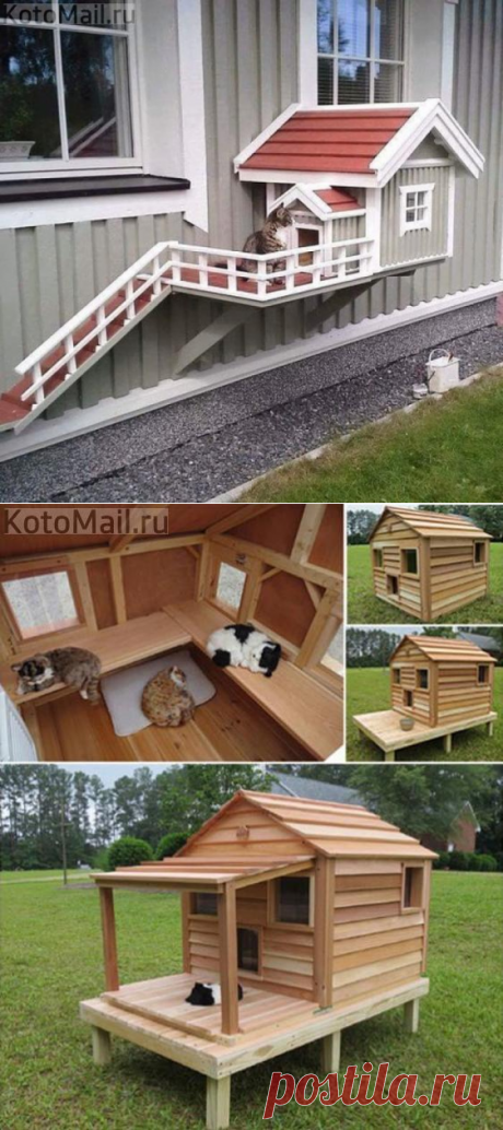 Красиво жить не запретишь | KotoMail.ru