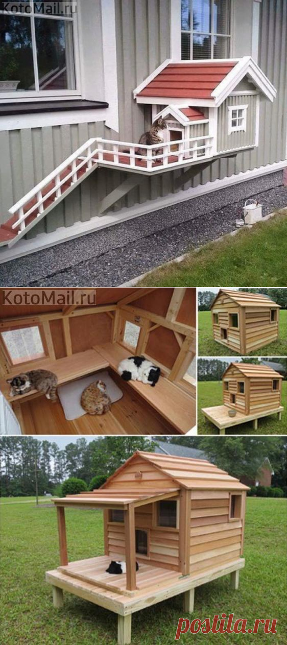 Красиво жить не запретишь | KotoMail.ru