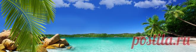 Скинали изображения для кухонного фартука