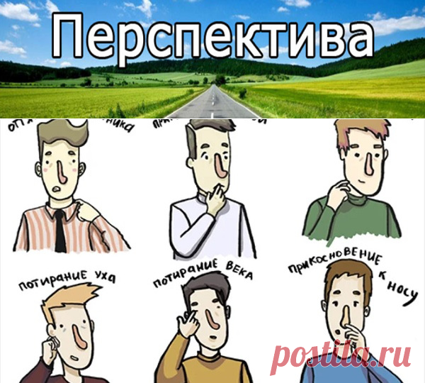 Как Распознать Ложь | Pravdoiskatel