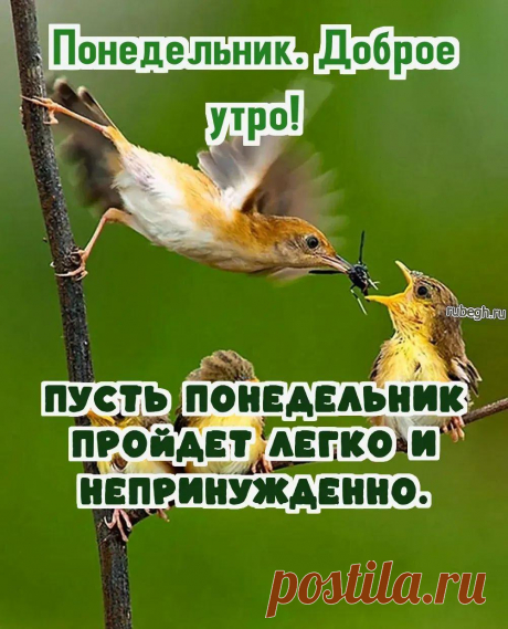 Открытки и картинки «Доброе утро понедельника!
https://rubegh.ru/otkrytki-i-kartinki-dobroe-utro-ponedelnika