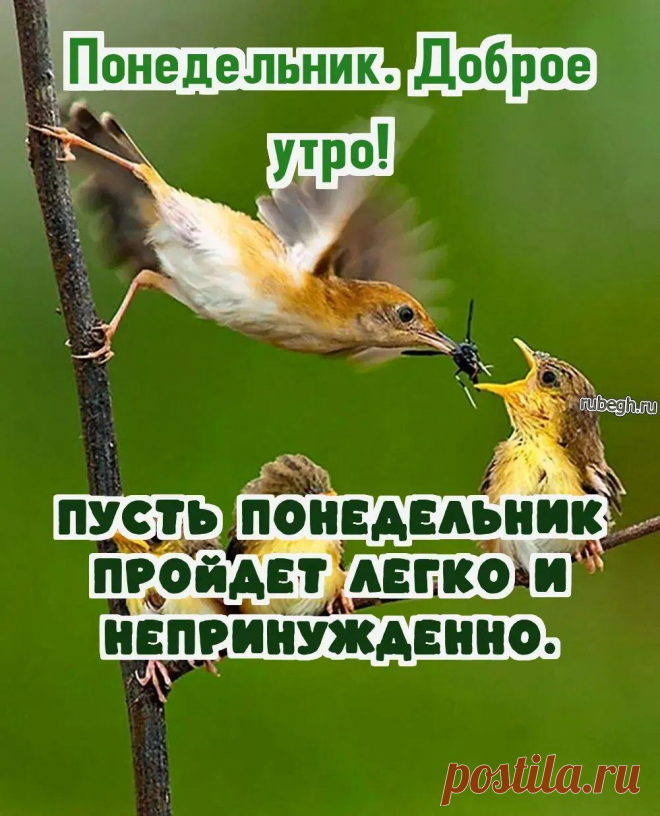 Открытки и картинки «Доброе утро понедельника!
https://rubegh.ru/otkrytki-i-kartinki-dobroe-utro-ponedelnika