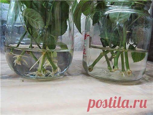 ЛЕДИ-ФЕЯ - Рукоделие, вязание, дизайн