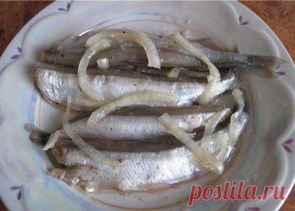 Gallery.ru / Мойва - Вкусняшки - Hellena02