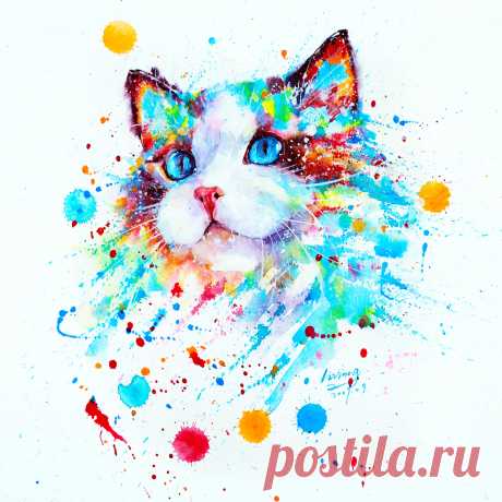 Мы знаем, чего вам не хватает – очаровательных разноцветных котиков!