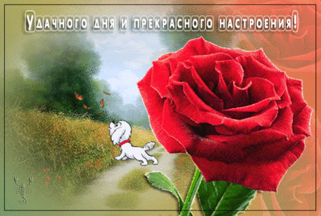 Удачного дня и прекрасного настроения!
