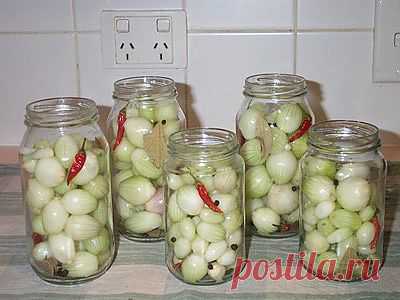 Маринованный лук на зиму / Несортированное / TVCook: пошаговые рецепты c фото