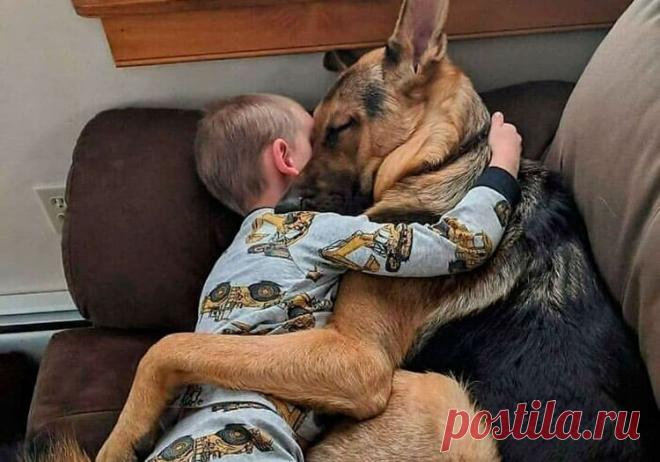 30 трогательных фото с животными, которые согревают душу