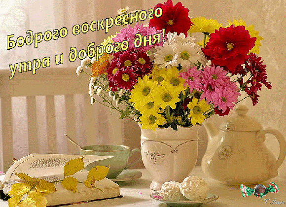 Анимированная открытка Бодрого воскресного утра!