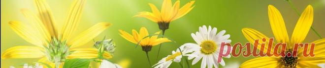 Гангрена не приговор | Правила здоровья и долголетия