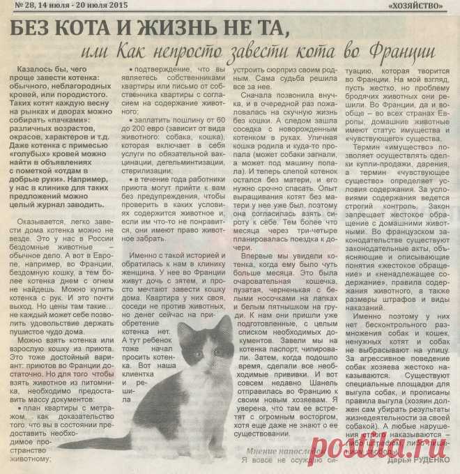 Как непросто завести кота во Франции