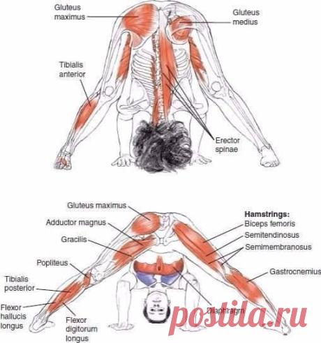 Health: журнал о твоем здоровье | Facebook