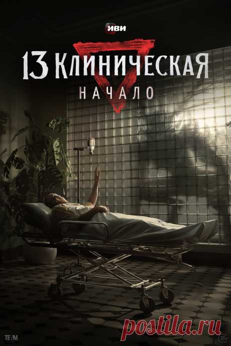 13 клиническая. Начало (2024)