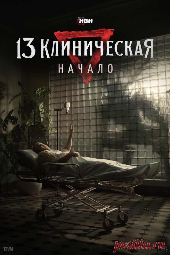 13 клиническая. Начало (2024)