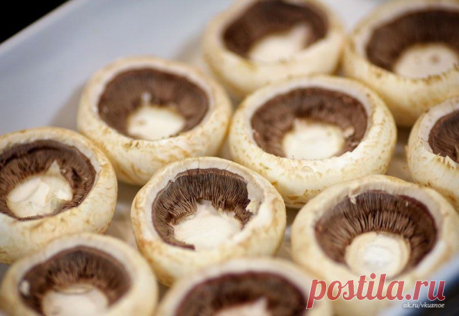 Шампиньоны с курицей и сыром » В сети – себя просвети! - Развлекательный портал!