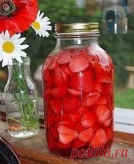 Снежана Бронская