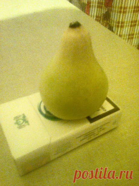 Как говаривал Козьма Прутков: не верь глазам своим. Так вот - это не фрукт. Это овощ. Тыква. Практического применения данному продукту придумать сложно. Но эстетическая составляющая присутствует. Весной пару семечек будут однозначно поcажены...