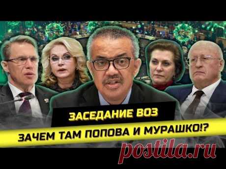 На пороге ПАНДEMИИ: детальный анализ ДОКУМЕНТОВ ВОЗ