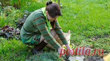 Забыл про траву между камнями после одного совета соседа-агронома. Садовый бордюр держит форму уже 5 сезонов без обновления | О Фазенде. Загородная жизнь | Дзен