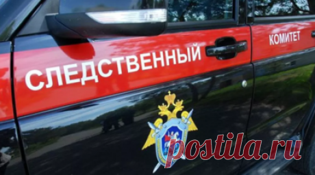 Жителя Челябинской области обвинили в убийстве 15-летней девушки. Следственное управление СК России по Челябинской области заявило, что в селе Татищево Карталинского района была убита 15-летняя девушка, в её убийстве обвиняется житель региона. Читать далее