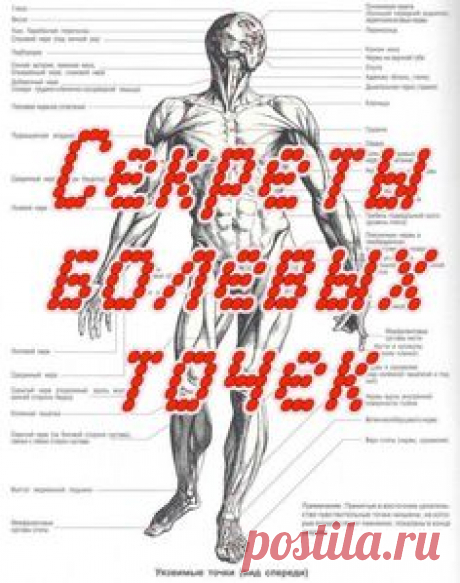 Секреты болевых точек (4 DVD-rip) [2008 г., самооборона, болевые точки, DVDRip]