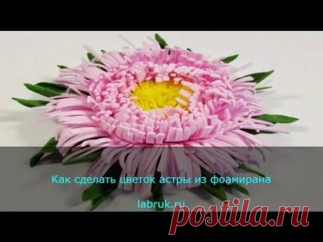 (1) Одноклассники