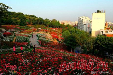 Красивейшие парки Южной Кореи:Dodang Park,Пучхон(Bucheon)