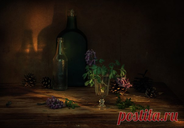Фото дня на «Фото.Сайте»
«Хохлатки» (Елена Рубинская)

Другие работы автора: www.photosight.ru/users/440571/