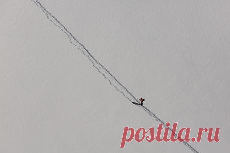 Минимализм в фотографии - PhotoDzen.com