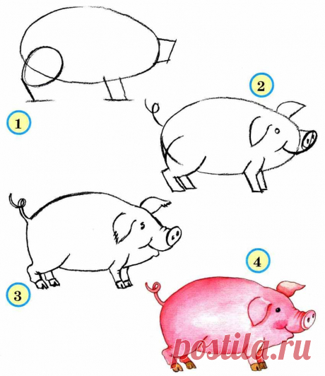 Как нарисовать свинью: много вариантов — Сделай сам, идеи для творчества - DIY Ideas