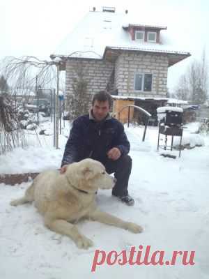 Совпадения: Kismia