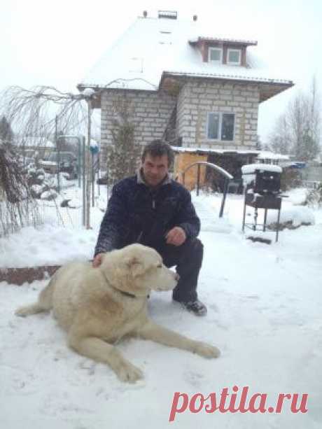 Совпадения: Kismia