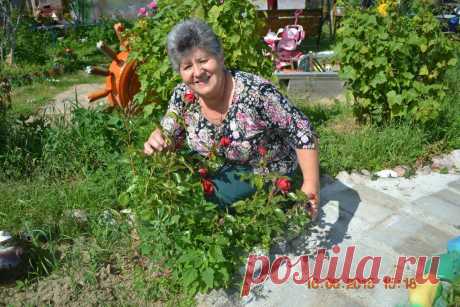 Стена
