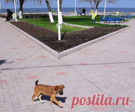 Муму - 02. Иван Тургенев - 9 Ноября 2018 - Персональный сайт