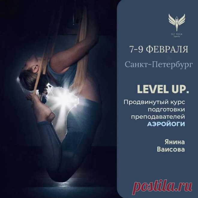 Аэройога курс для инструкторов