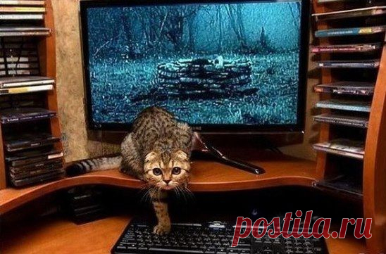 И тут мне реально стало страшно...