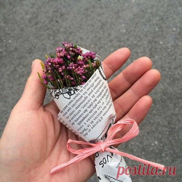 Даже если толпа права - К ней примкнуть тебе не советую. В ней утонут твои слова, И вернутся к тебе рикошетом. Даже если права толпа - Из неё ты не выйдешь чистым. Как затянет — считай, пропал. В этой жизни быть лучше солистом. Оставайся самим собой, Нынче это такая редкость. И не будь поглощён толпой - Ни в массовке, ни на подпевках.