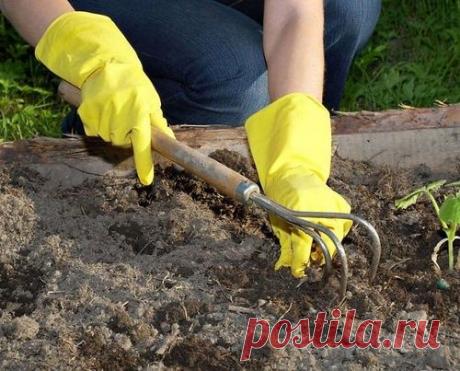 Как меньше гнуть спину на даче?