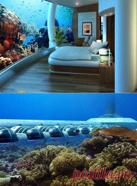 Отель под водой: 
Poseidon Undersea Resort --Katafinga Island, Fiji
Currently under construction, this five-star resort will feature 22 guest rooms, an underwater restaurant and bar, a library, conference room, wedding chapel, and spa, and will be accessible exclusively via 16-person submarine that you can learn to drive while a guest. Depth: 40ft