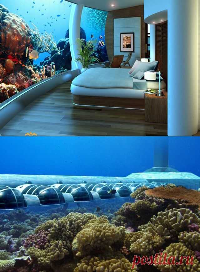 Отель под водой: 
Poseidon Undersea Resort --Katafinga Island, Fiji
Currently under construction, this five-star resort will feature 22 guest rooms, an underwater restaurant and bar, a library, conference room, wedding chapel, and spa, and will be accessible exclusively via 16-person submarine that you can learn to drive while a guest. Depth: 40ft