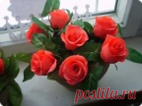 РОЗЫ ИЗ ГОФРОБУМАГИ! РОЗЫ!