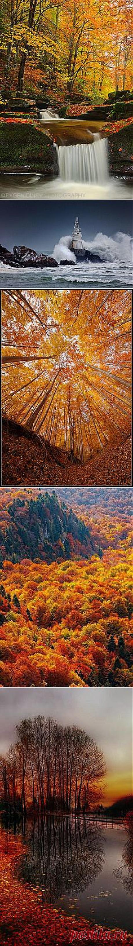 Yellow Carpet (Bulgaria) | sun, sky and nature