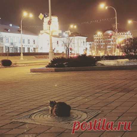 Люди, берегите животных. Им тоже хочется тепла. И я не только о погоде.