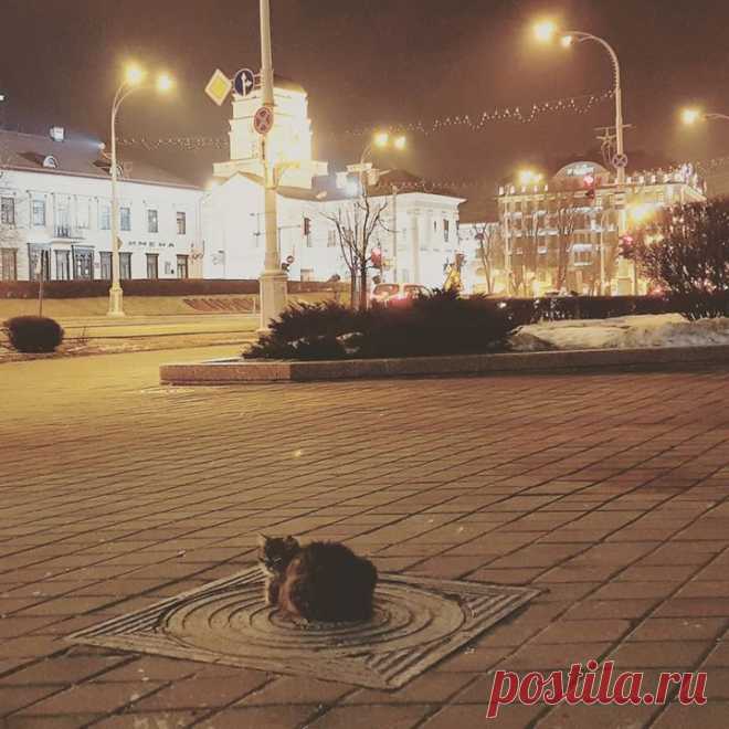 Люди, берегите животных. Им тоже хочется тепла. И я не только о погоде.