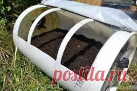 Мини парничок из пластиковой бочки.