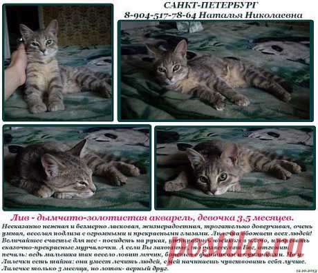 Мой Мир@Mail.Ru