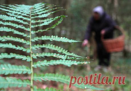 3-10-23- Экспертный совет ПО ЗАПОВЕДНОМУ ДЕЛУ направил в Минприроды рекомендации по развитию ООПТ