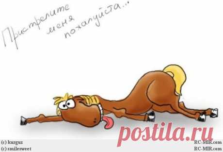 Юмор о работе и о тех кто пашет как лошадь: анекдоты, веселые картинки