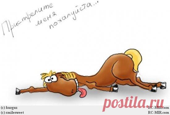 Юмор о работе и о тех кто пашет как лошадь: анекдоты, веселые картинки