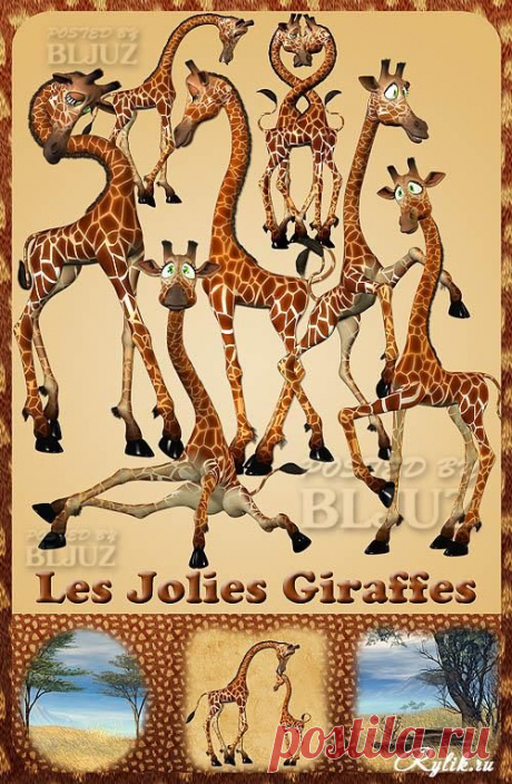 картинки с жирафом рисованным - 40 тыс. картинок. Поиск Mail.Ru